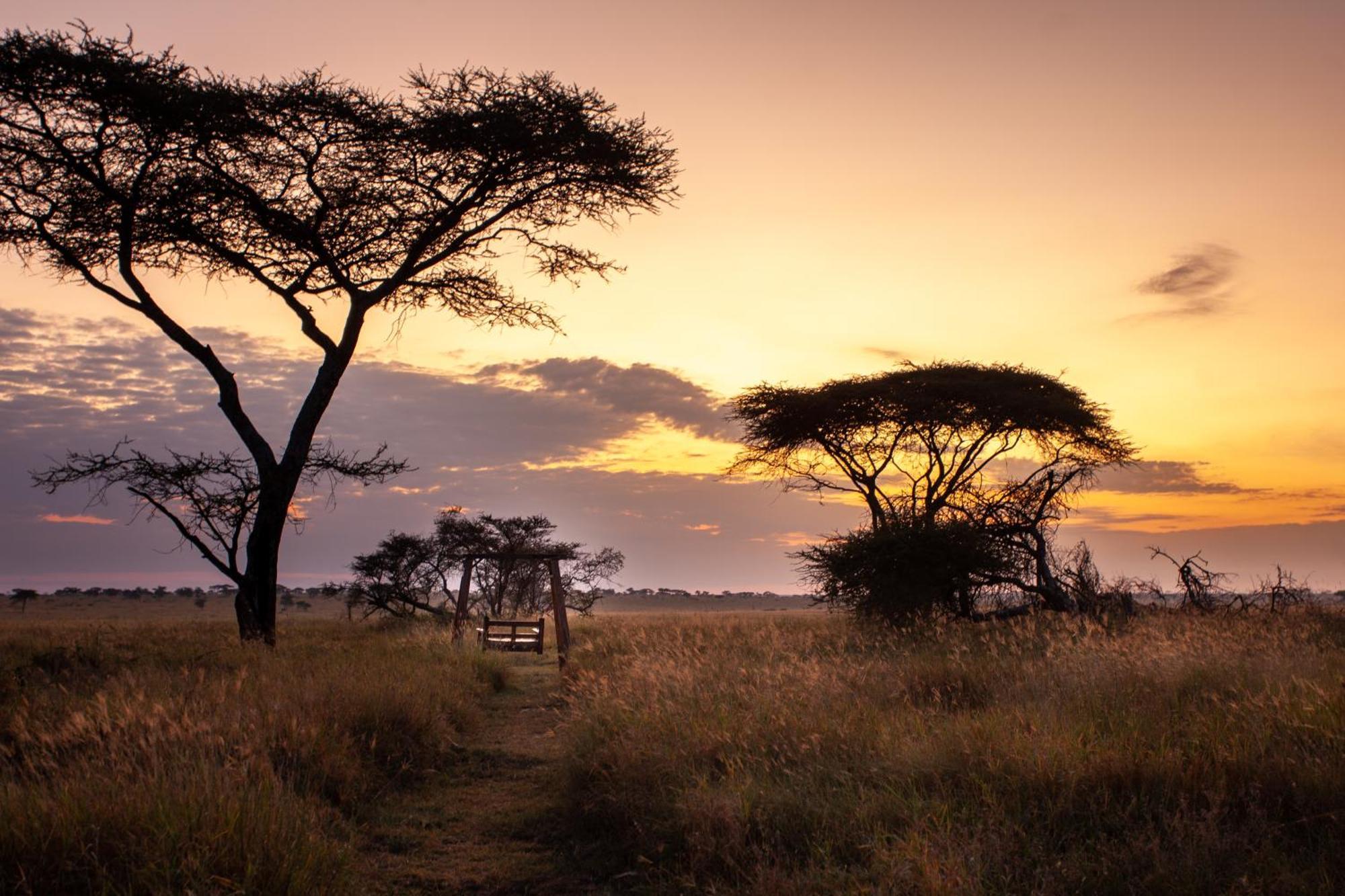 Mawe Tented Camp Serengeti Exterior photo